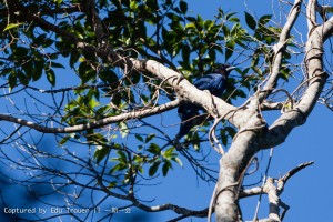 Photography by Eduardo Trauer || Rota Floripa