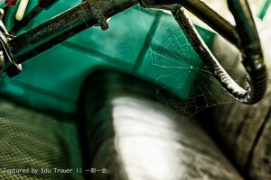 Captured by E.Trauer  || 一期一会
